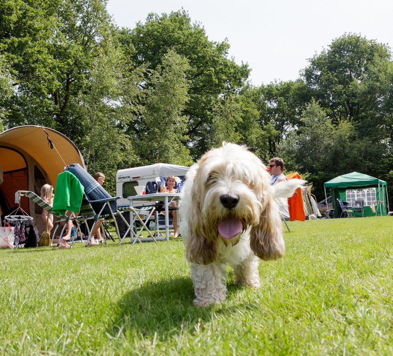 Camping De Vossenburcht · · · IJhorst